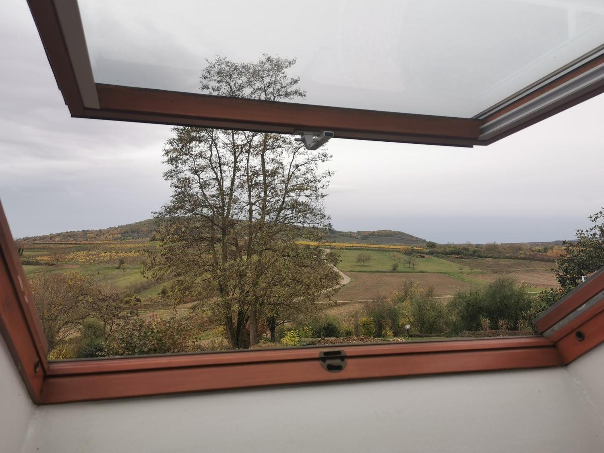 Studio Spacieux, Route Des Vins Rosheim Exterior foto